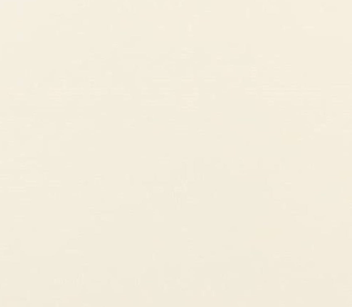 YF08-C34 PLAIN COLOR SCARF - German Fuentes Wholesale of Leather Handbags, Belts and Accessories - German Fuentes