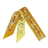 YF08-T16 COLORFUL CIRCLE CHAIN SKINNY SILK SCARF