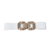 CINT-20 Stretch Belt