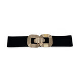 CINT-20 Stretch Belt